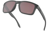 Päikeseprillid OAKLEY Holbrook Steel Collection Prizm Daily Polarized Steel Collection Prizm Daily Polarized