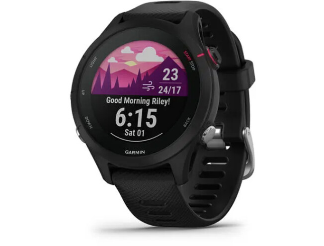 Spordikell Garmin Forerunner 255S Music Black Music - Black